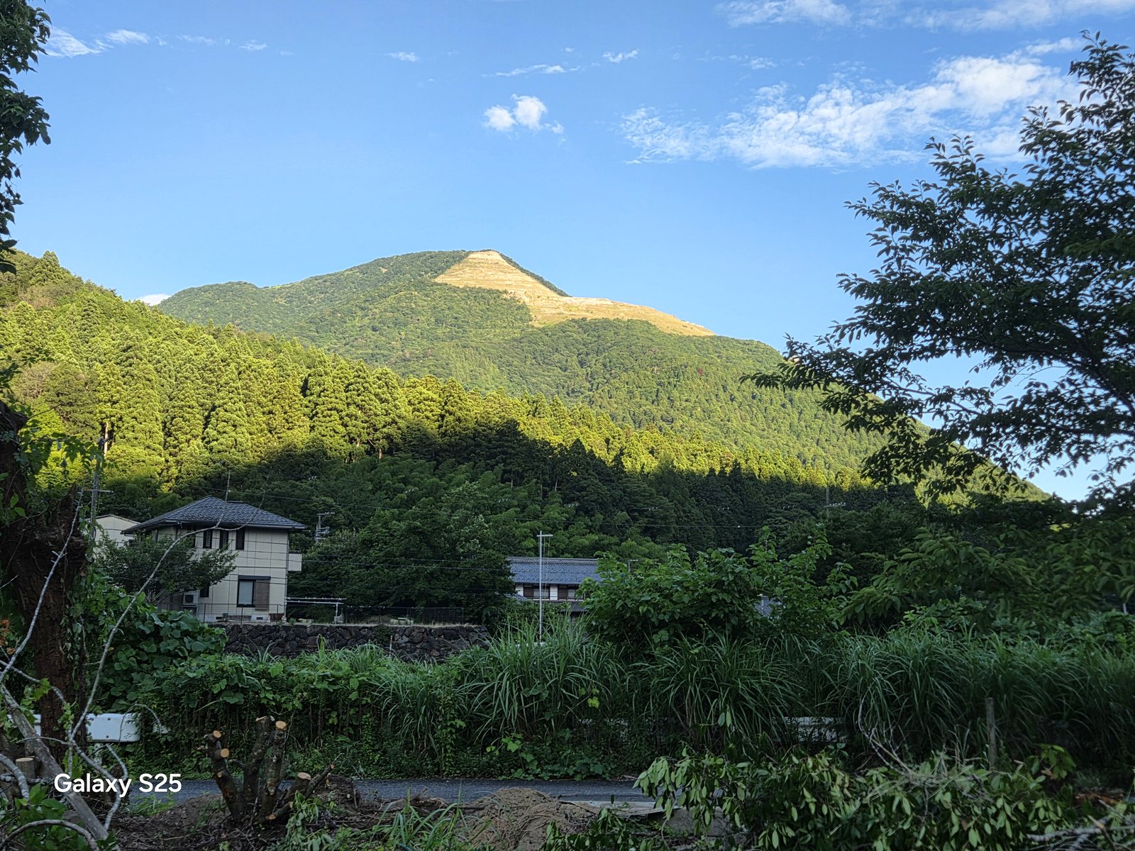 青空の下、緑におおわれた夏の伊吹山（2025年7月）