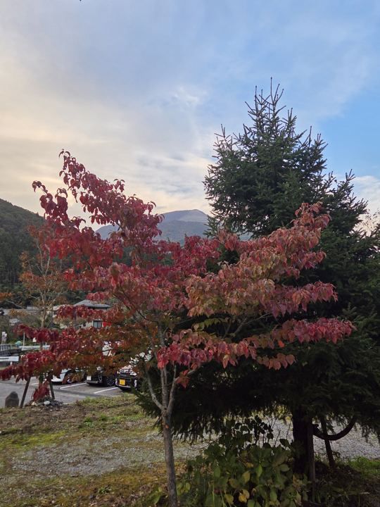 紅葉と夕空（秋）